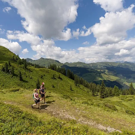 Alpine Brunner Wildschoenau