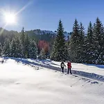 Apartmán Alpine Brunner